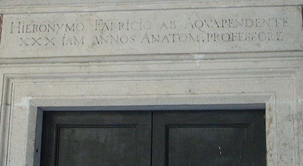 Anatomical theatre entrance, Palazzo Bo, Padua (7).jpg